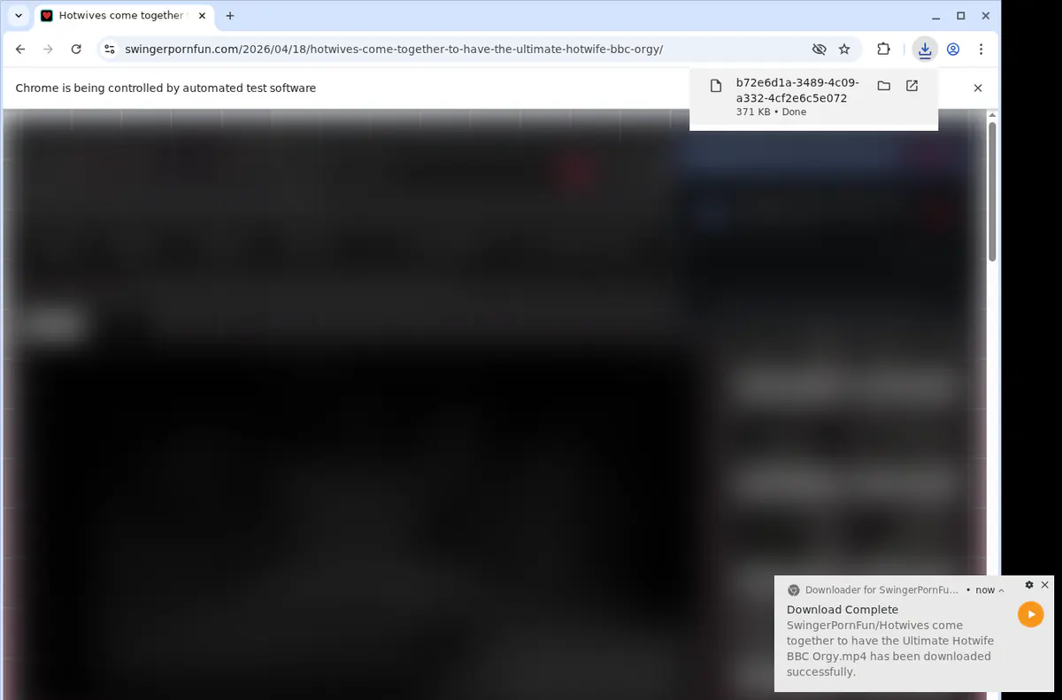 Swingerpornfun Video Downloader browser extension screenshot 2
