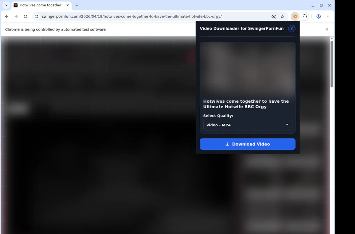 Swingerpornfun Video Downloader browser extension screenshot 3