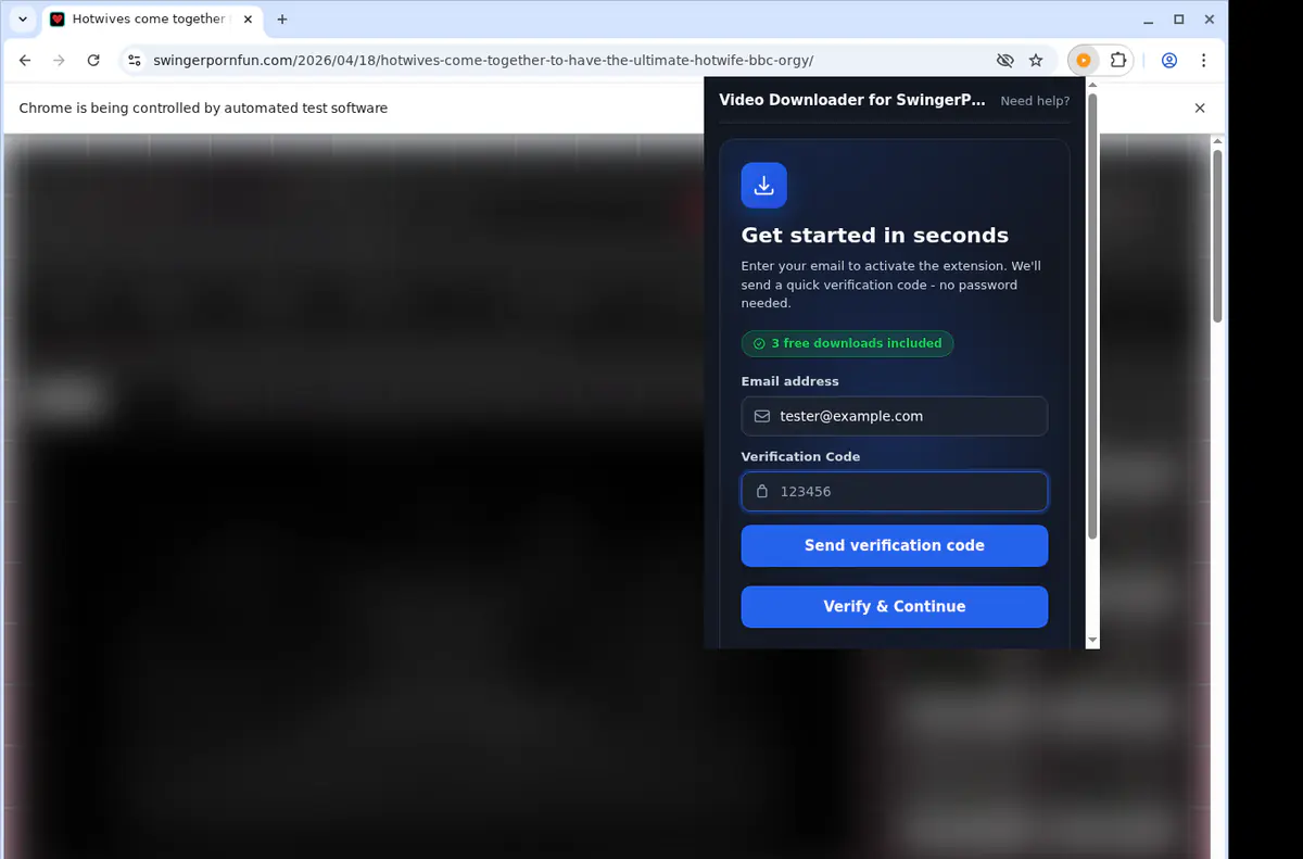 Swingerpornfun Video Downloader browser extension screenshot 4