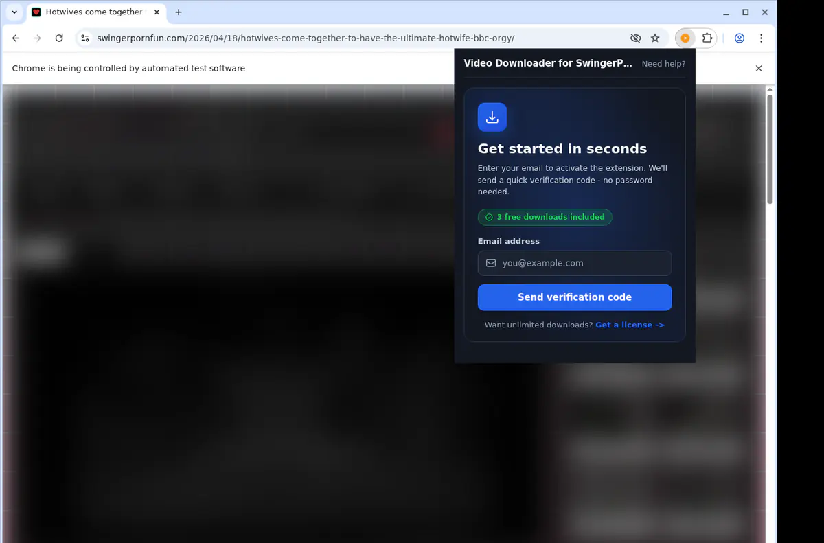 Swingerpornfun Video Downloader browser extension screenshot 5